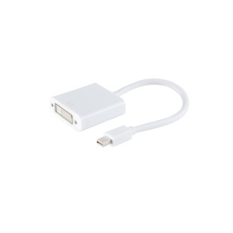Mini DisplayPort 1.2 Adapter, DVI-I jack