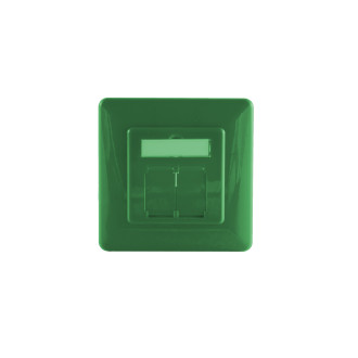 Frame and central plate, green