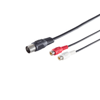 5 pin DIN plug - 2 RCA jacks, 0.2m