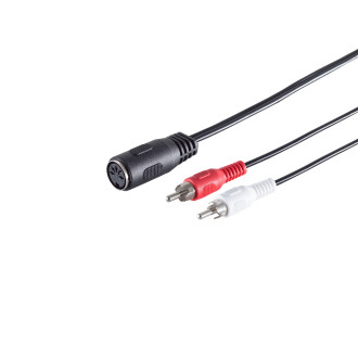 5 pin DIN jack - 2 RCA plugs, 0.2m