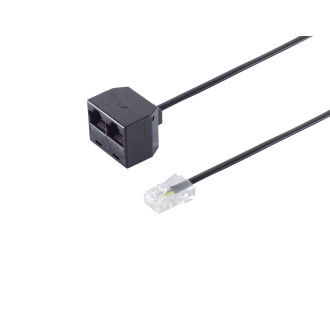 Western-pl. 8 4  2 Western-jack 8 4 100 Ohm 0.1m