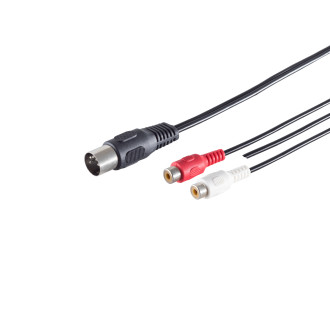 5 pin DIN plug - 2 RCA jacks/grounding, 0.2m