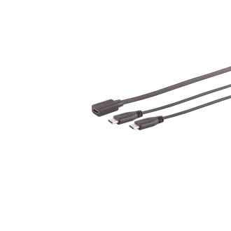 USB-C Y-cable, 2x USB-C, 2.0, black, 0.3m