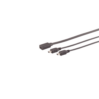 USB-C Y-cable, 2x USB Mini-B, 2.0, black, 0.3m